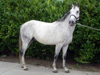 /album/fotos/limitgroot-1-jpg/